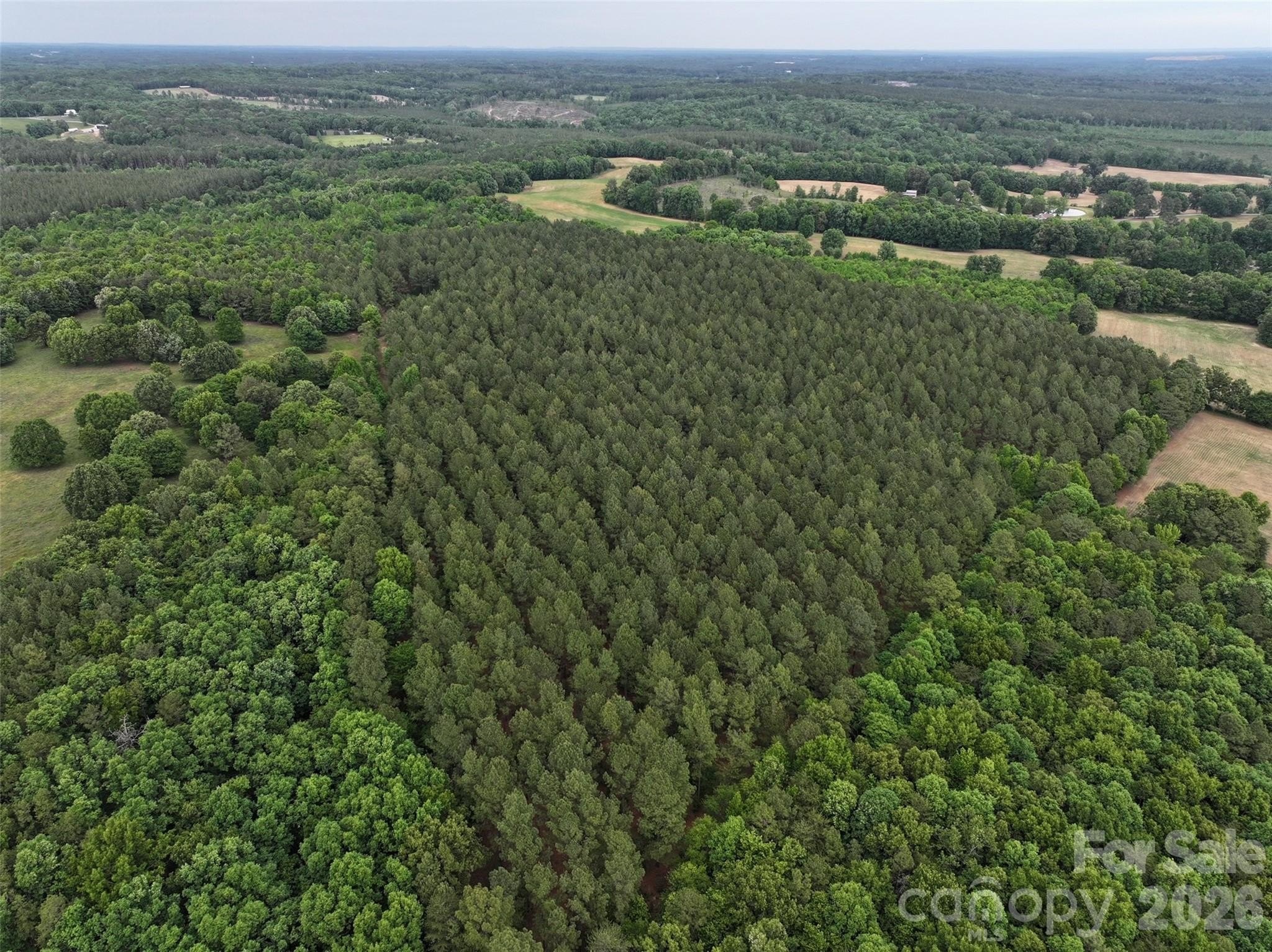 29.6 Acres Wooded Land Peachland