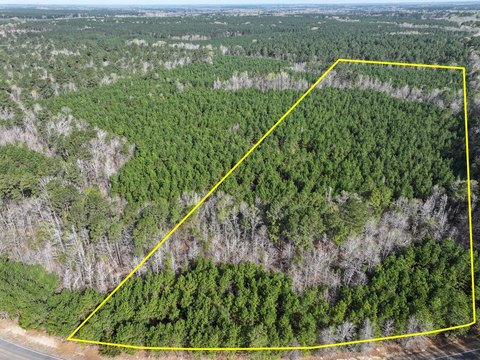 Recreational Timberland Tract
