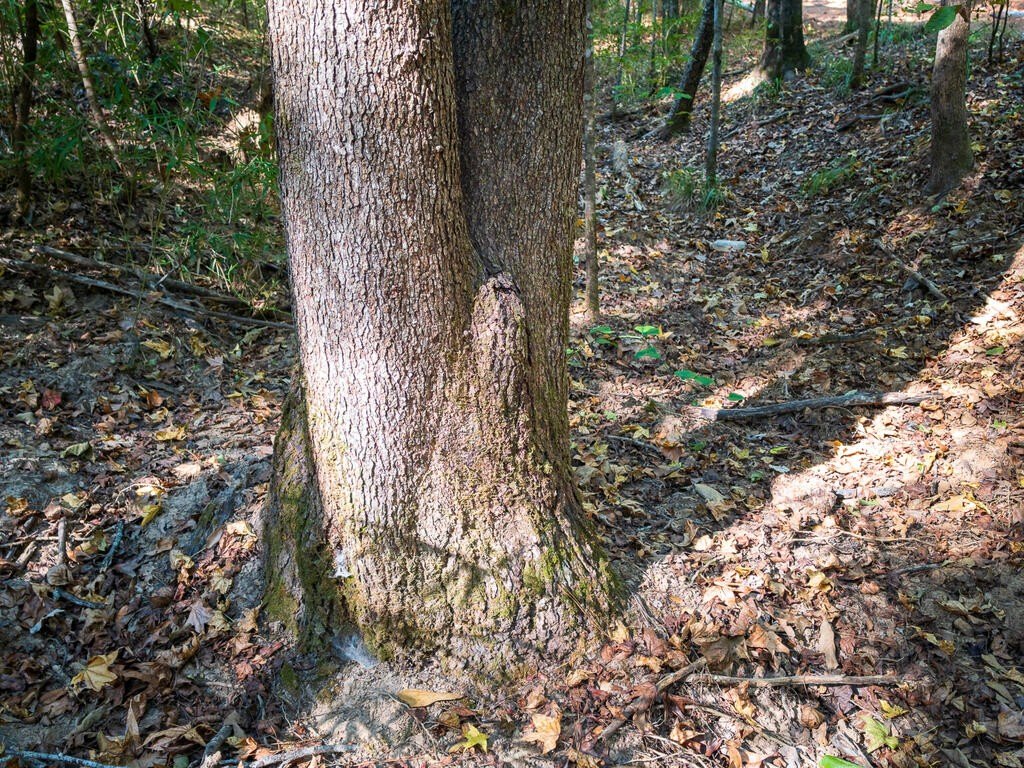 Picture 30