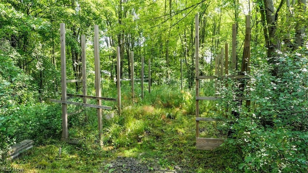 Picture 8