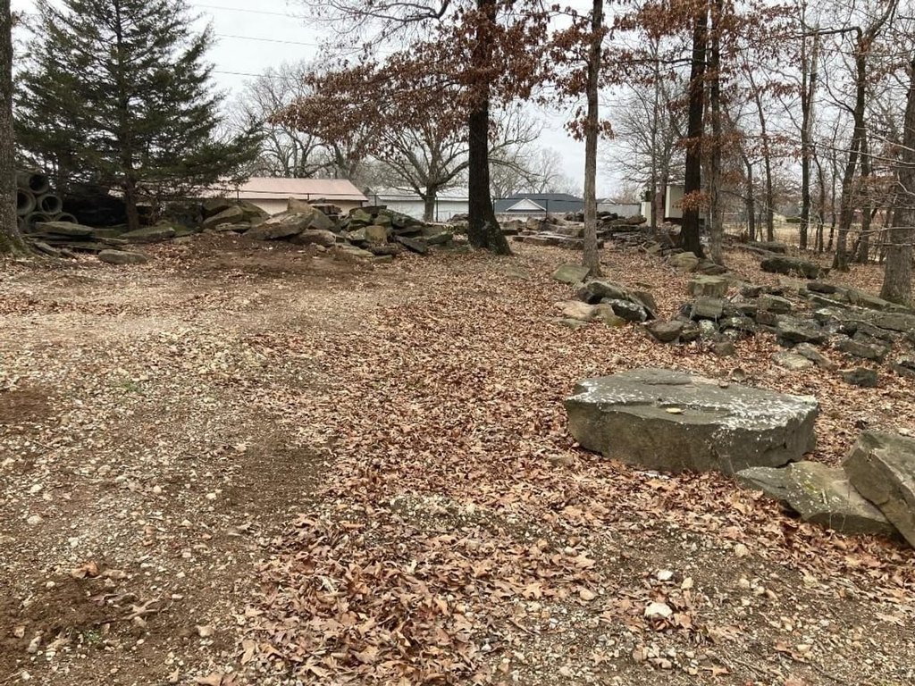 Picture 16