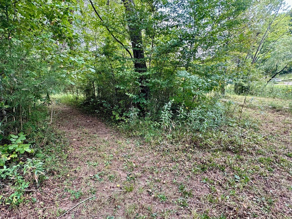 Picture 10