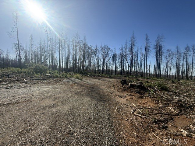 Picture 20