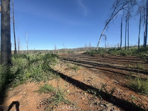 Residential Land With Ready Homesite