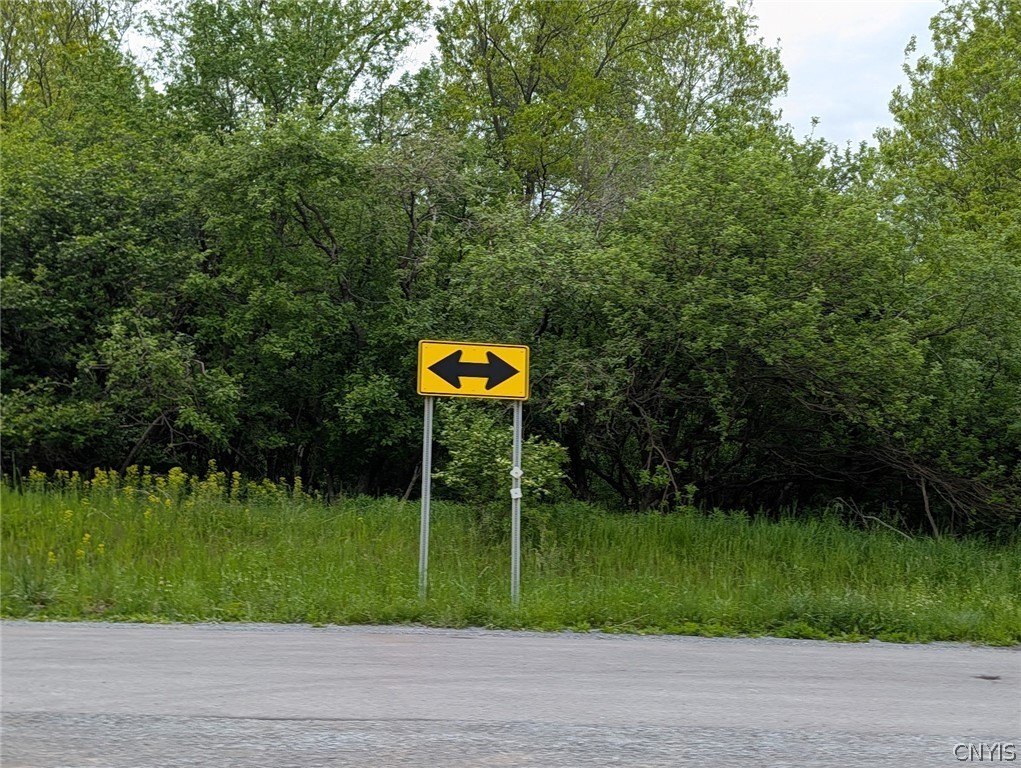 Picture 23