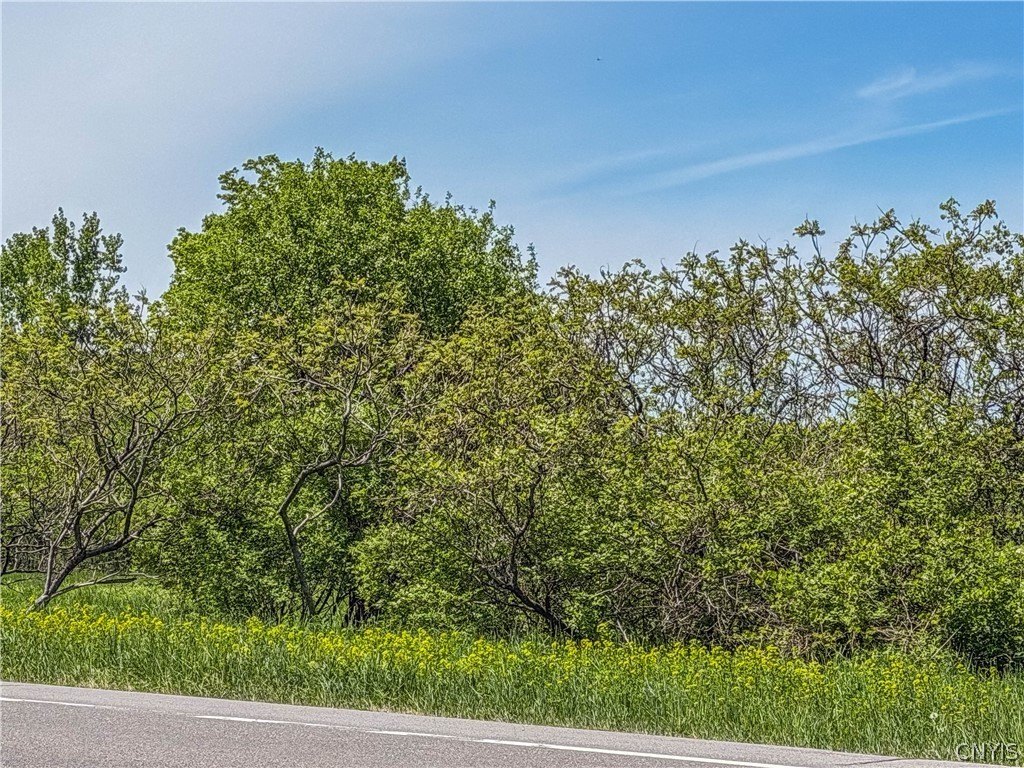 Picture 21