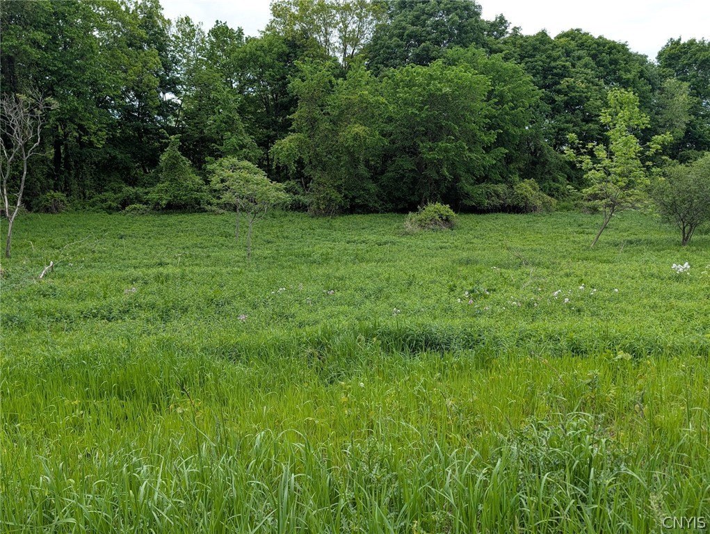 Picture 26