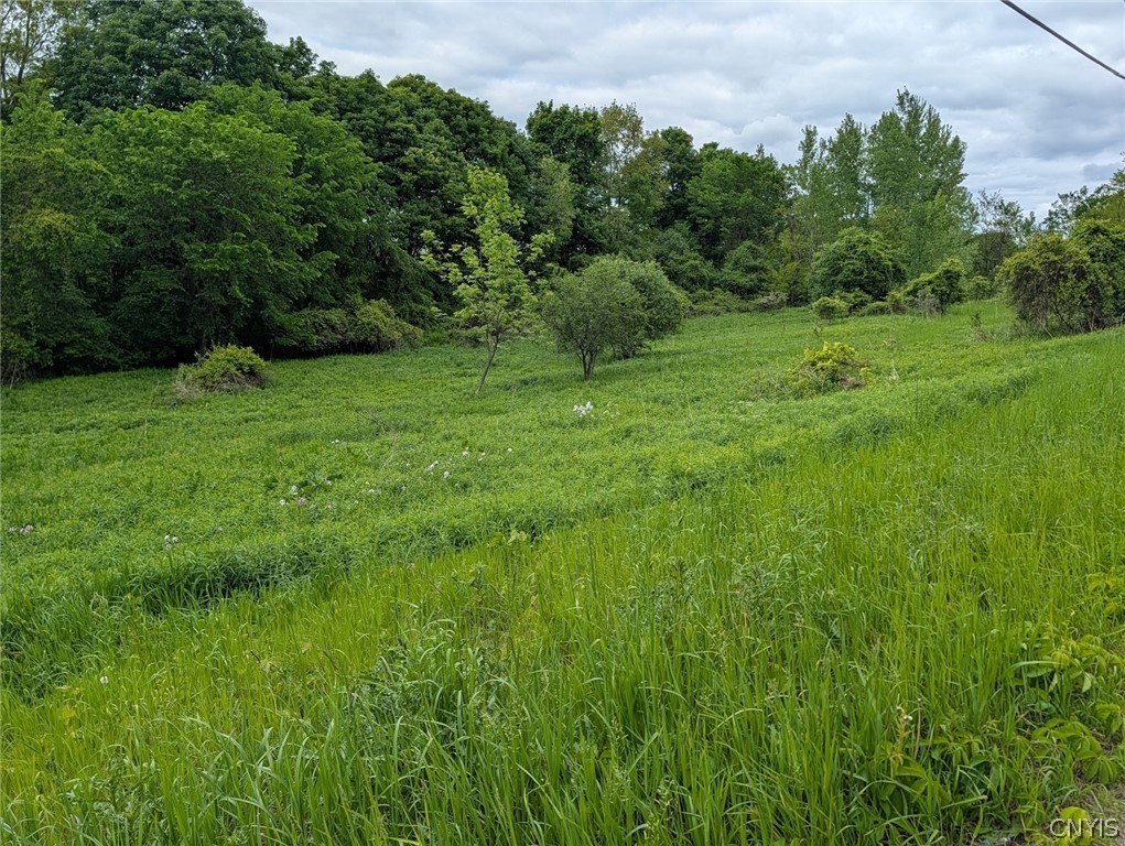 Picture 27