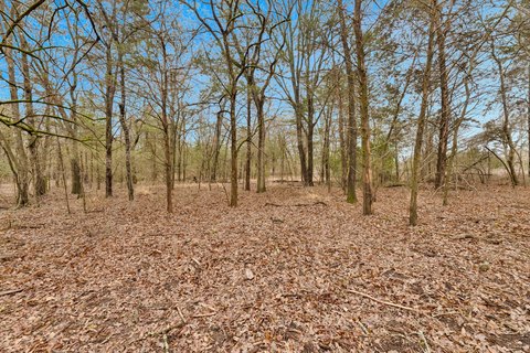 Treed Ranch Land with Multiple Homesites