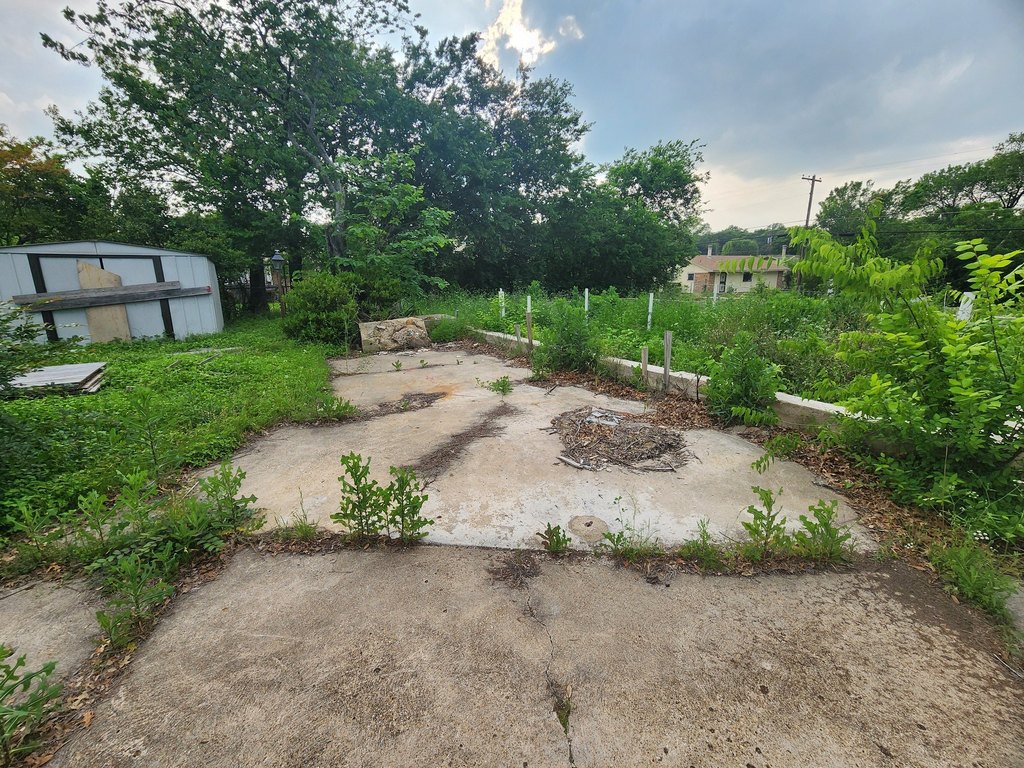 Picture 11