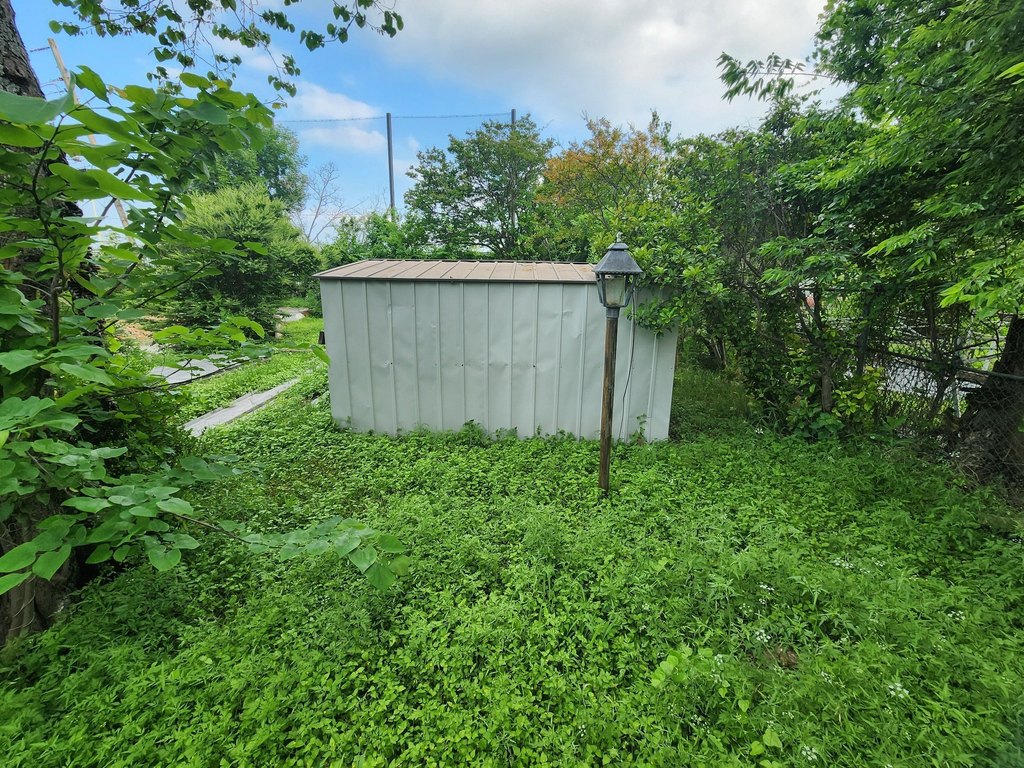 Picture 6