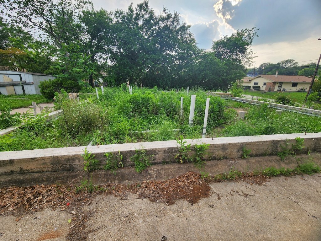 Picture 12