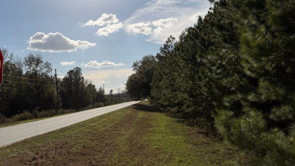 Picture 6