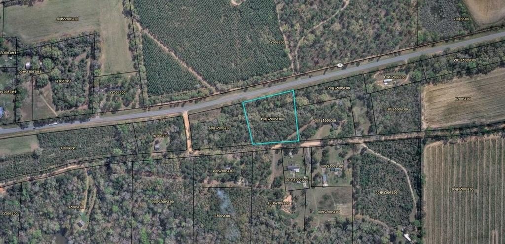 Picture 2