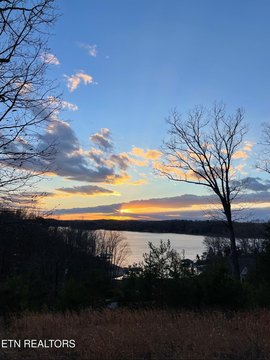 Lots & Acreage, Ten Mile, TN