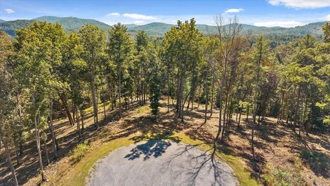 Vacant Lot, Morganton, GA