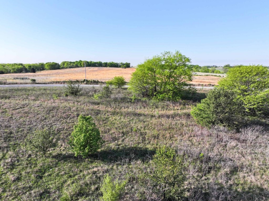 Picture 18