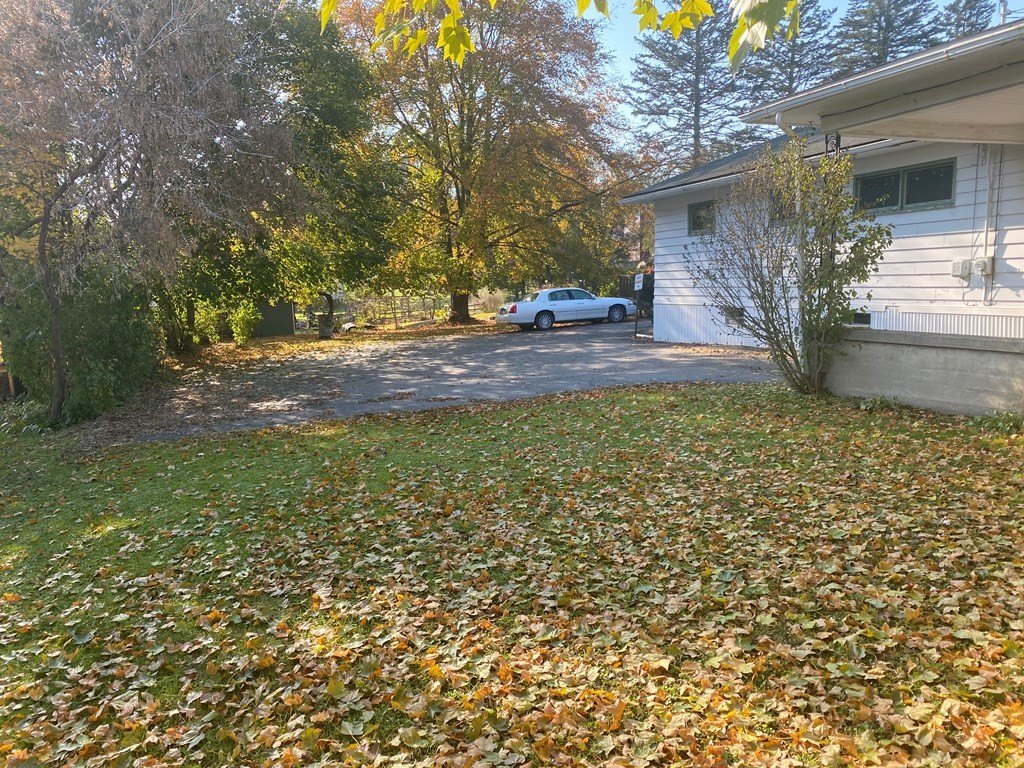 Picture 13