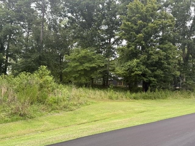 Picture 13