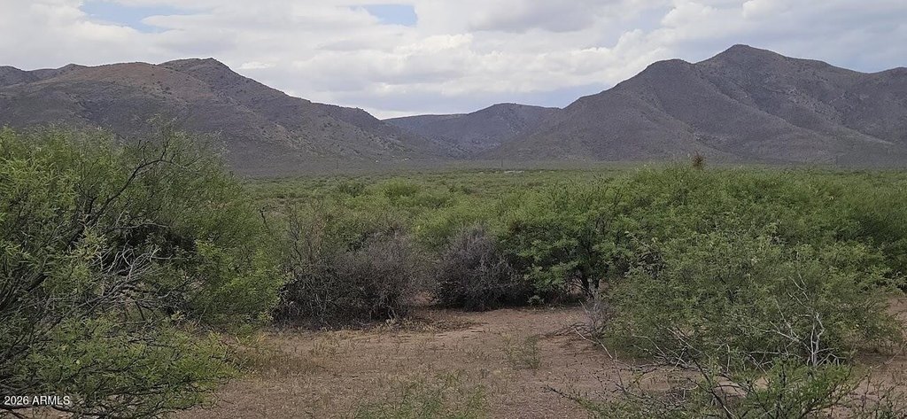 Picture 7