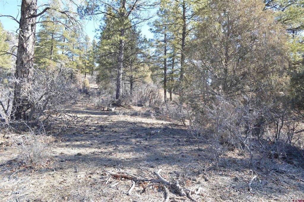 Picture 8