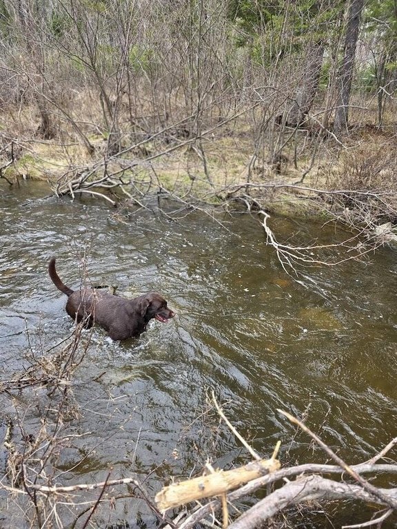 Picture 11