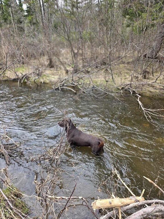 Picture 13