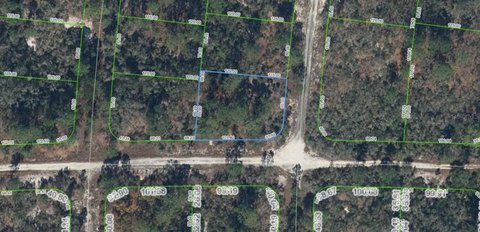Land - LAKE PLACID, FL