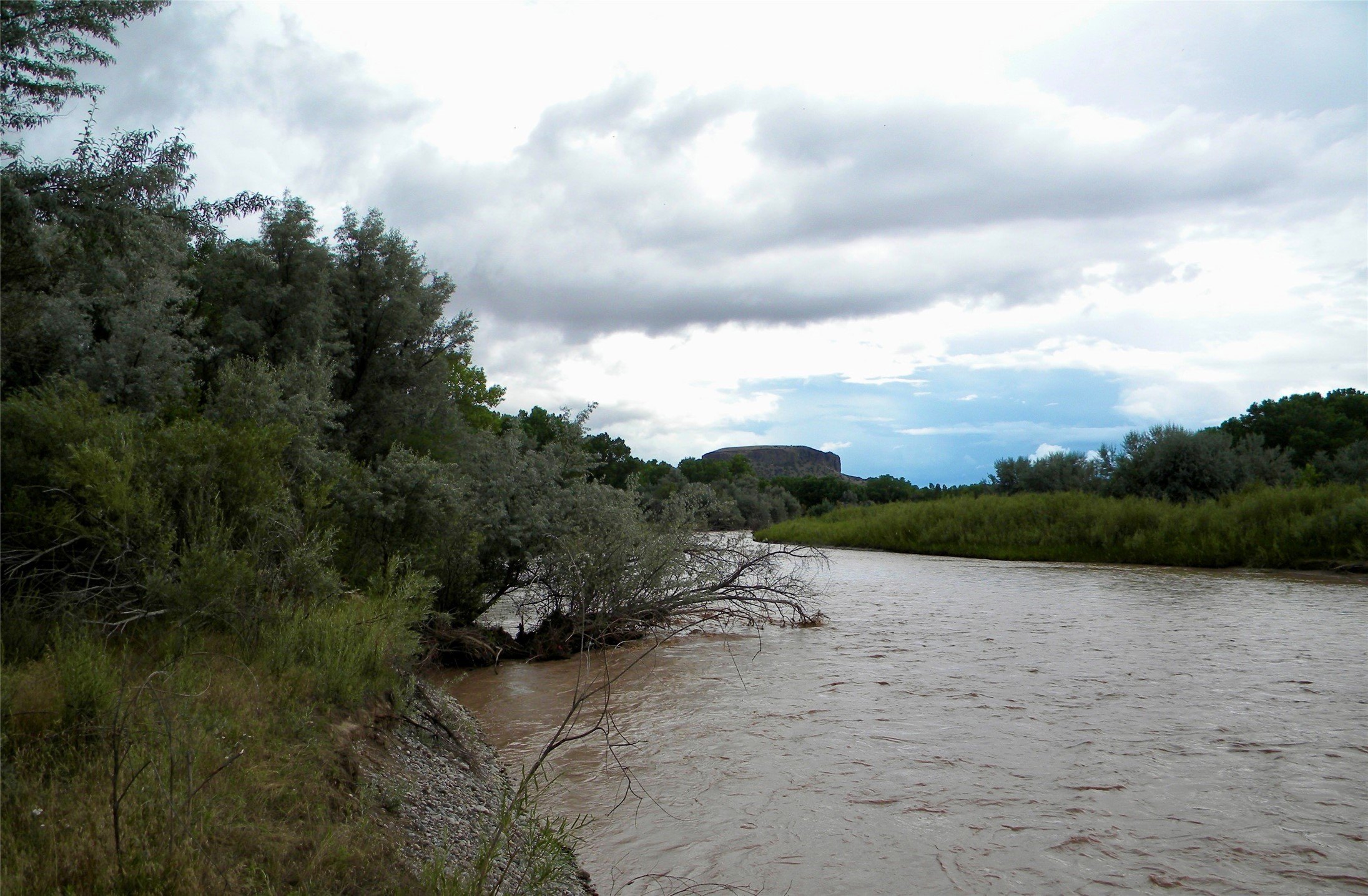 La Mesilla Land with River Views