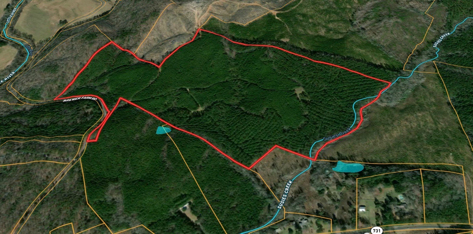 130 Acres of Timberland
