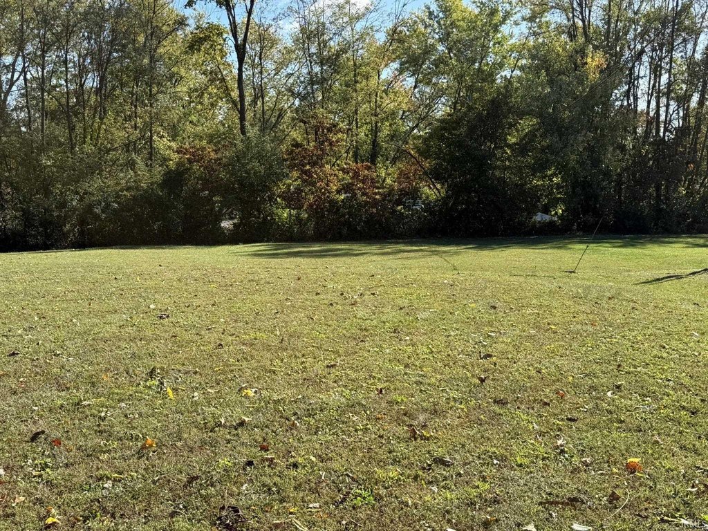 Picture 21
