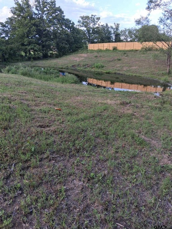 Picture 5