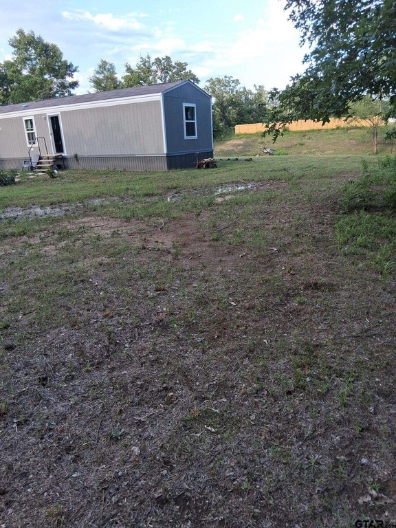 Picture 3