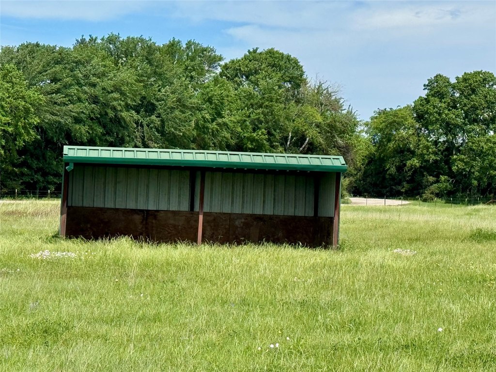 Picture 10