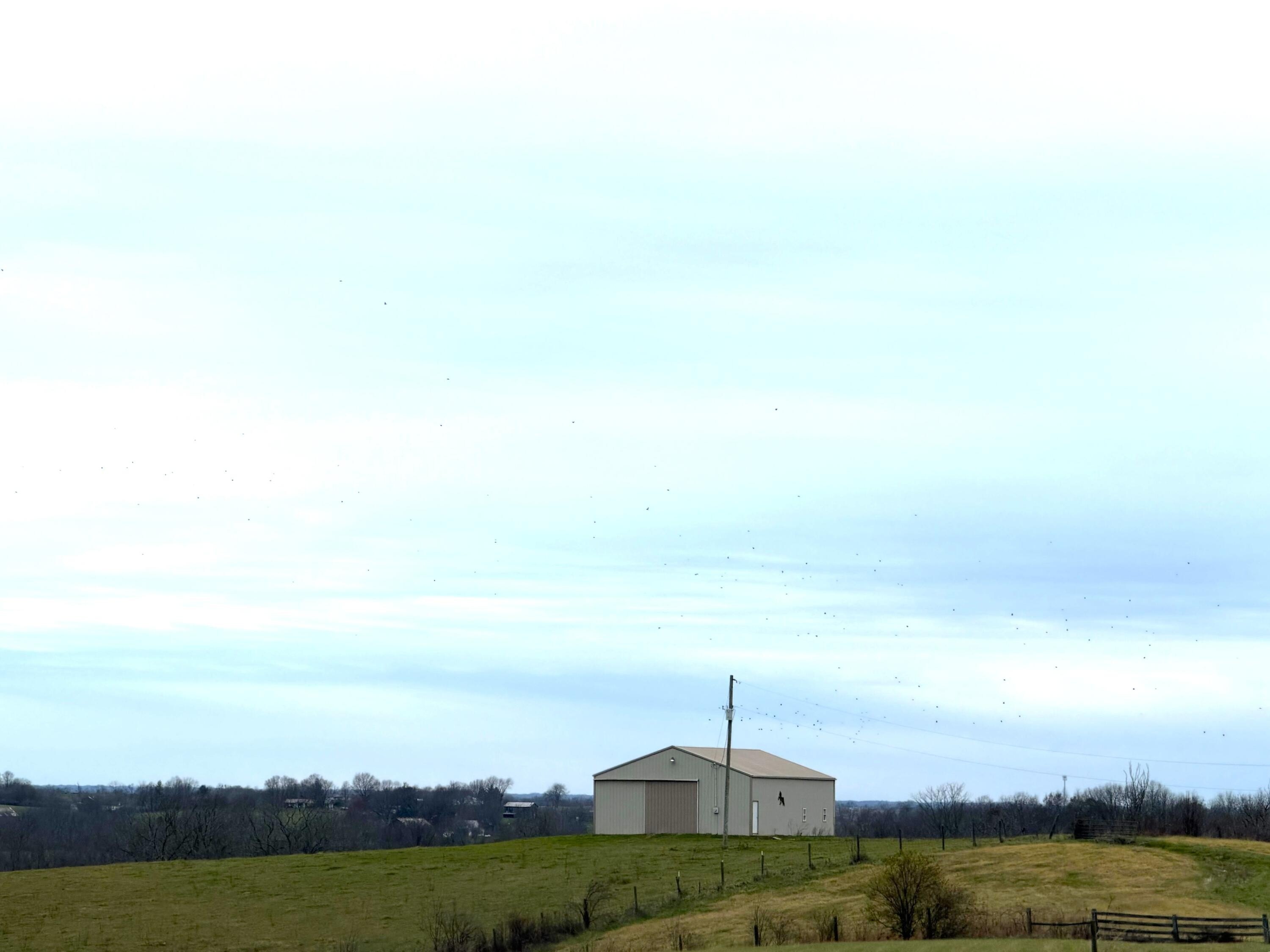 Cynthiana, KY Land For Sale