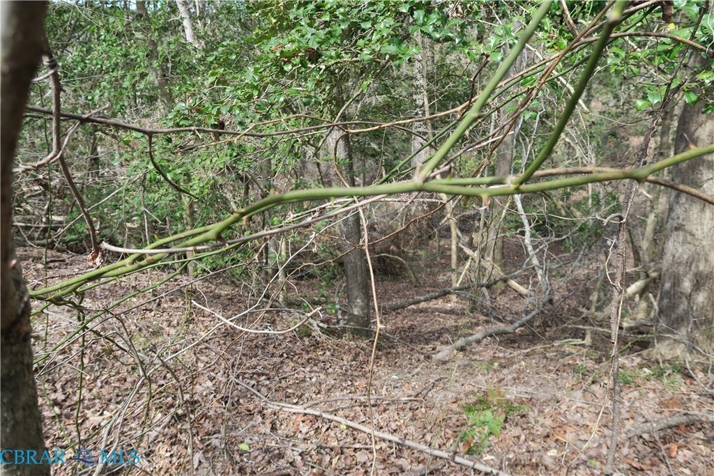 Picture 16