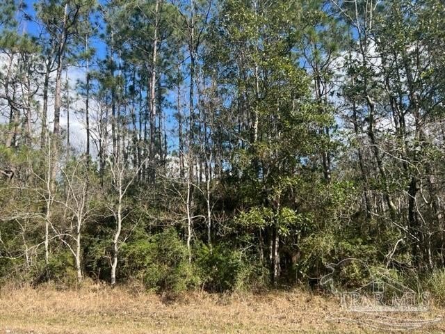 Residential Land in Waterfront Subdivision