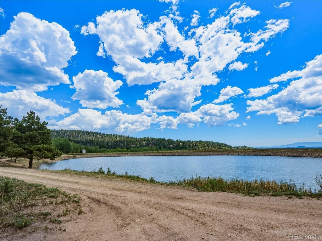 Picture 25