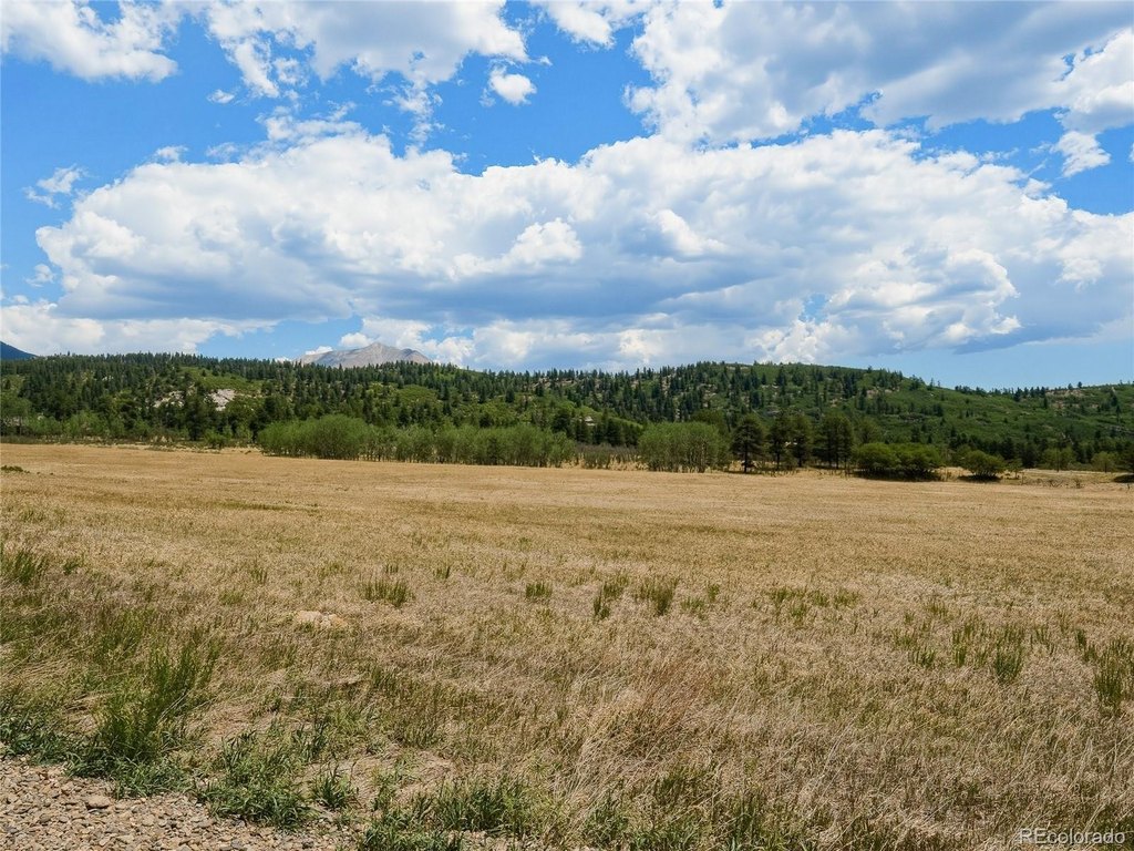 Picture 29