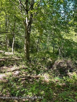 LAND - Cairo, NY