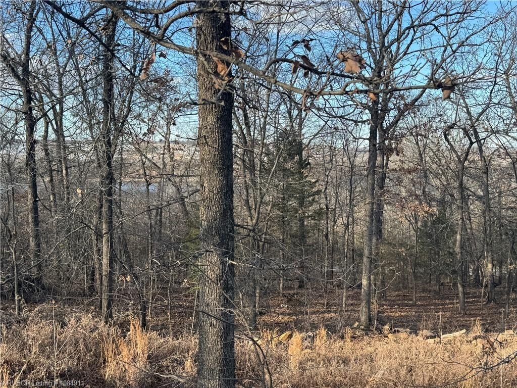 Park Hill Land For Sale