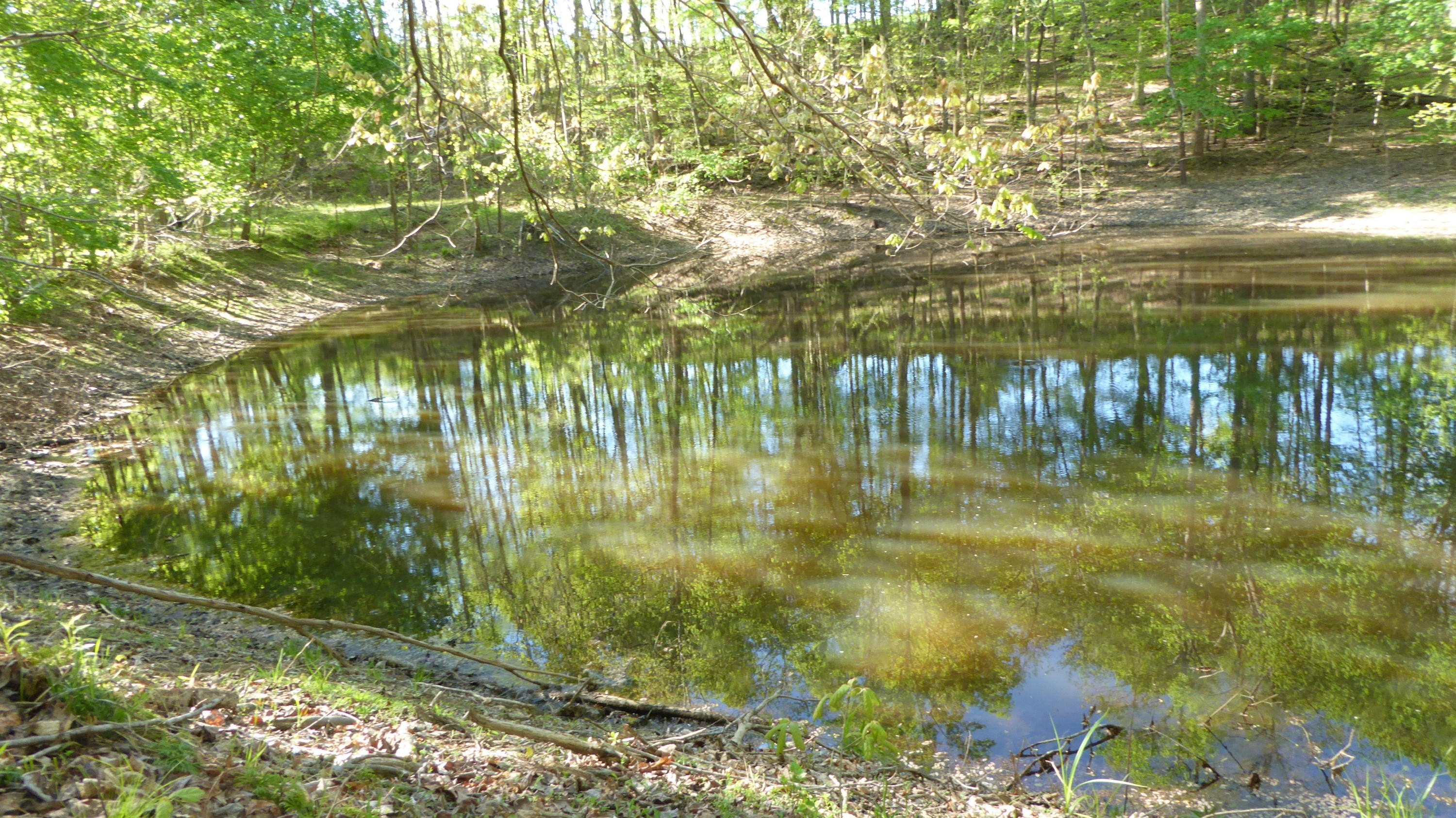Secluded Woodsy Land with Pond