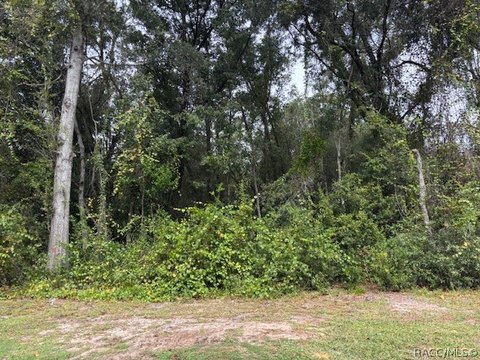 Land, Crystal River, FL