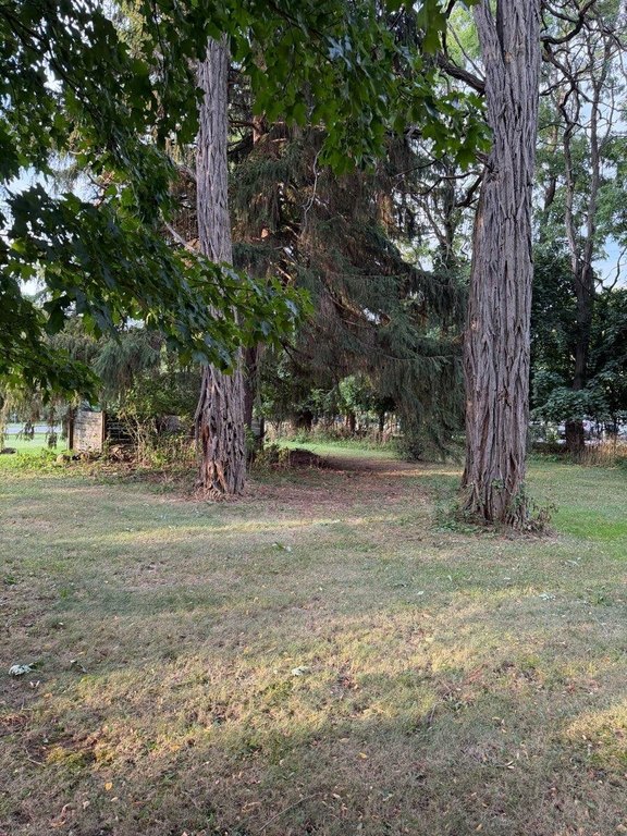 Picture 17