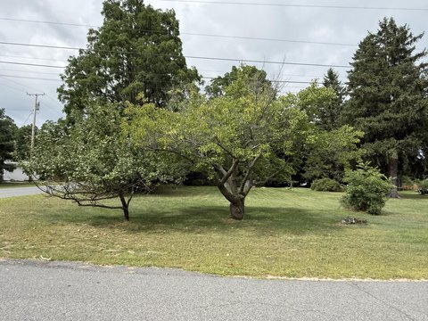 Land, Port Kent, NY