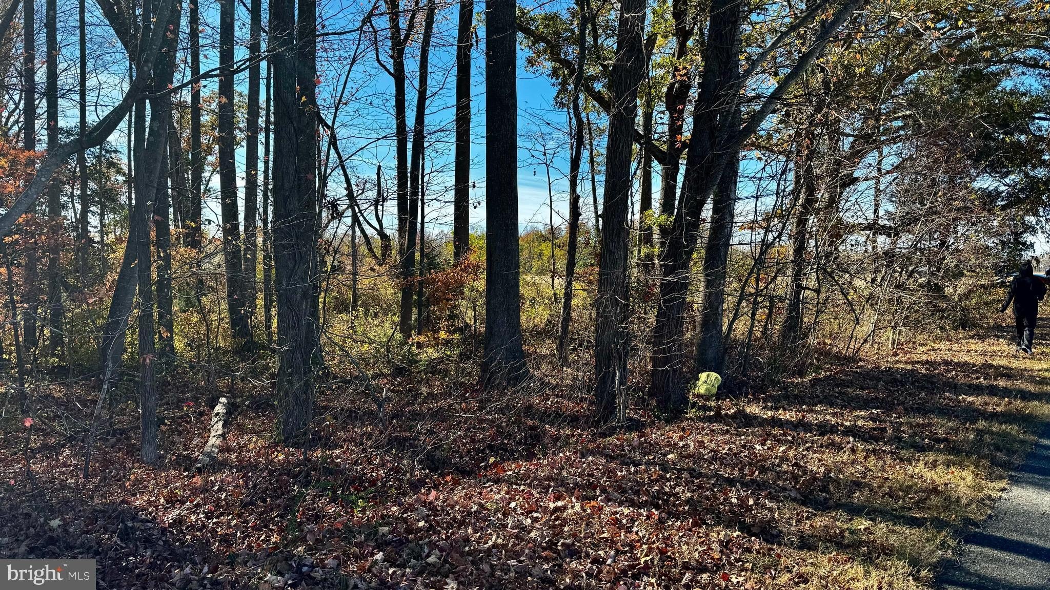 13 Acres of Untouched Land