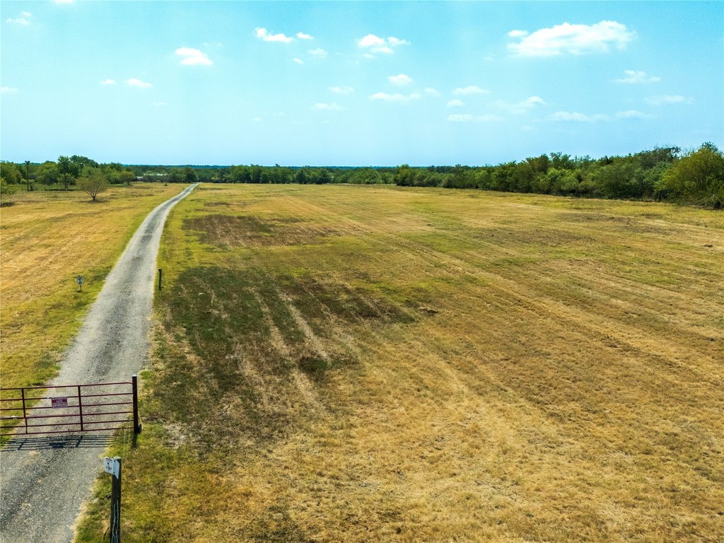 Picture 8