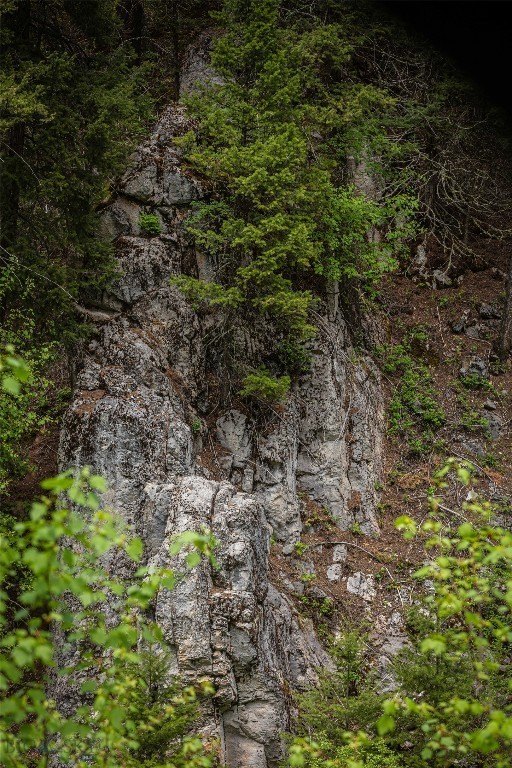 Montana Mountain Land For Sale