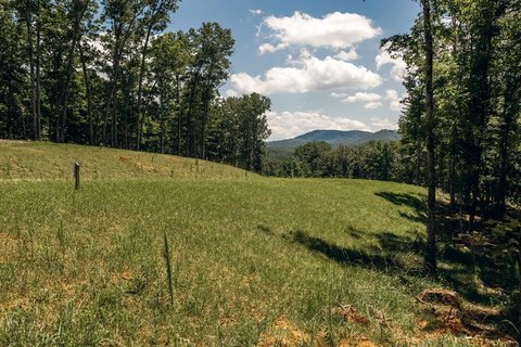 Morganton, GA Vacant Lot