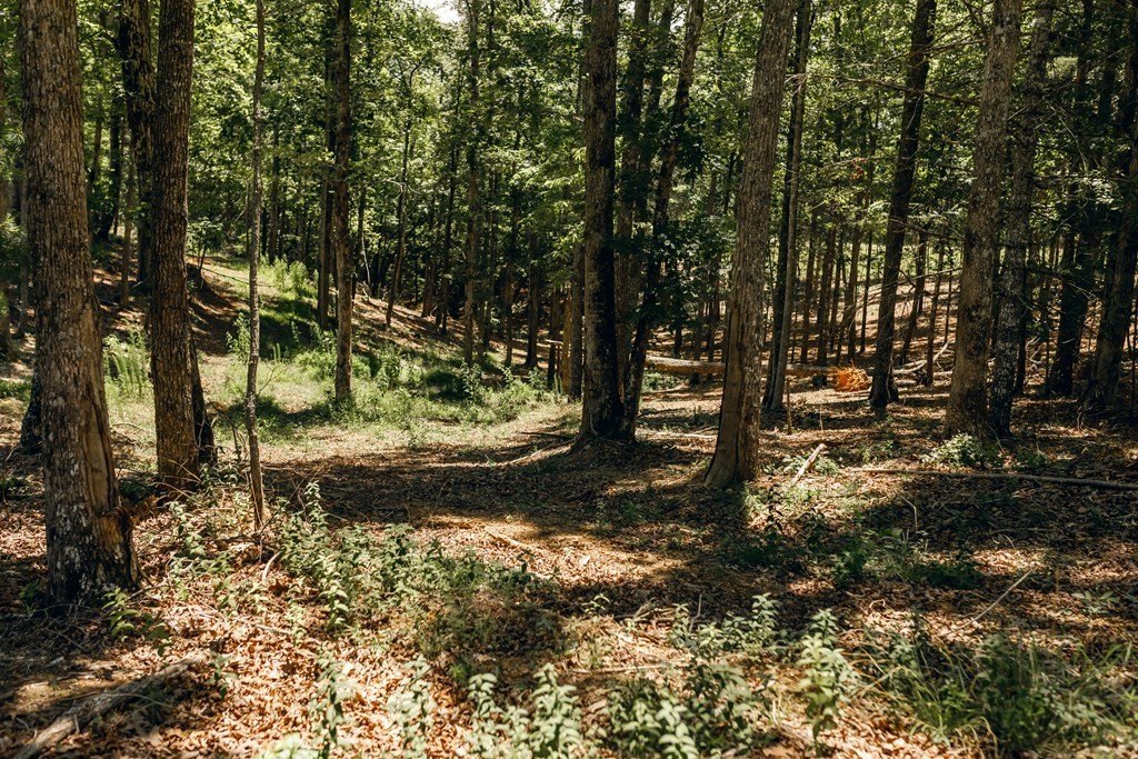 Picture 8